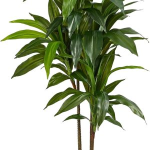 48in Dracaena Silk Plant (Real Touch) Green