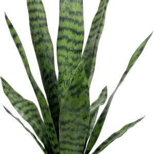 Artificial Snake Plant 22.5" Faux Agave