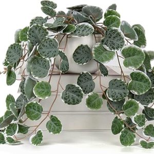 Fake Plants Indoor 16'' Artificial String of Hearts Plants