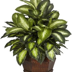 Golden Dieffenbachia Silk Plant, Green